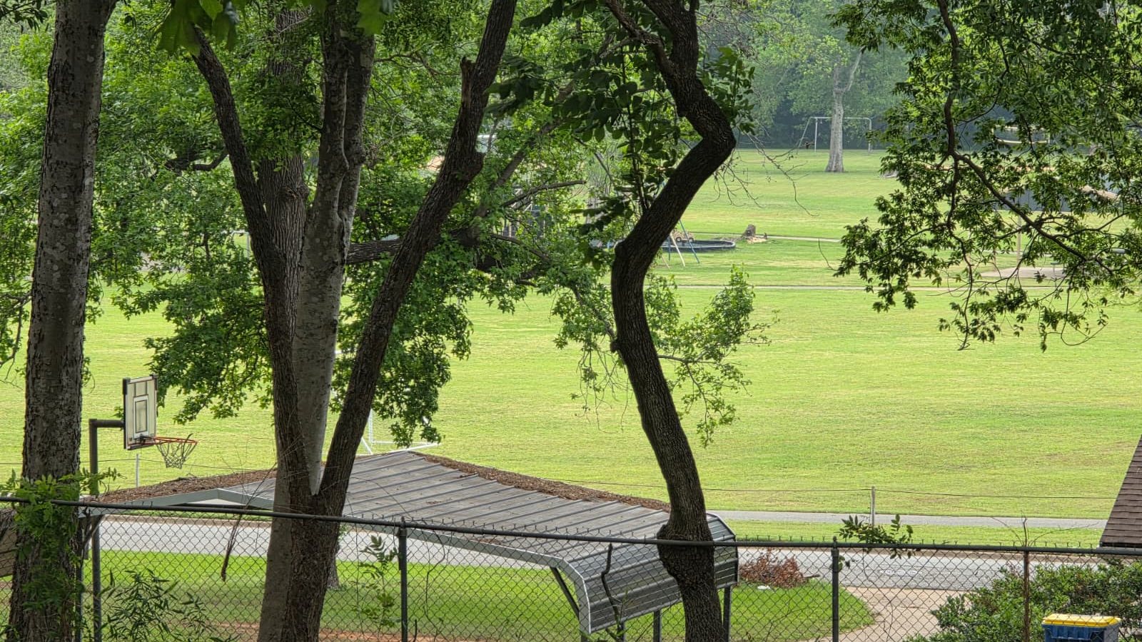 Trees along a fence line at the edge of a wide green field
