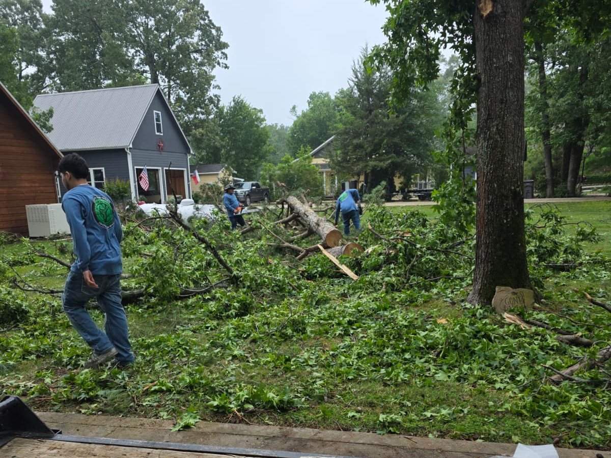 Crew members in blue shirts working among cut branches around a tree