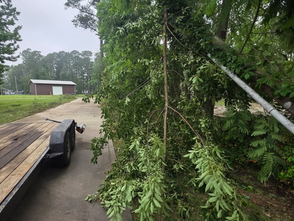A flatbed trailer parked on a driveway beside a large leafy limb