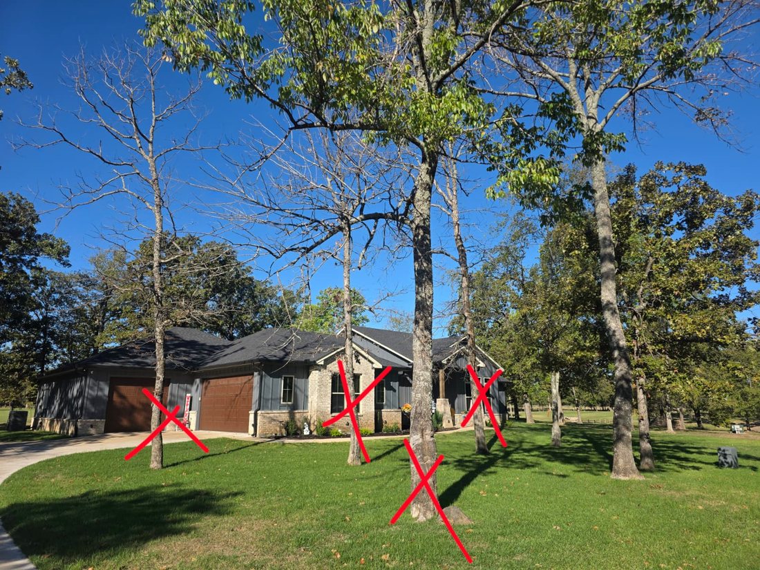 Four trees in the front yard of a house, each marked with a red X