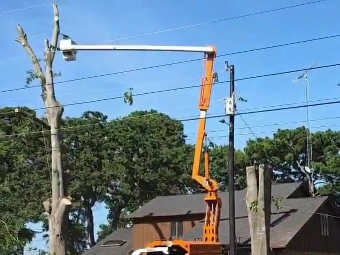 An orange bucket truck with its boom raised beside a bare tree and a utility pole, with a house behind