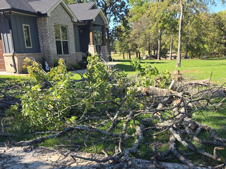 A large pile of cut branches and limbs on the ground in front of a house