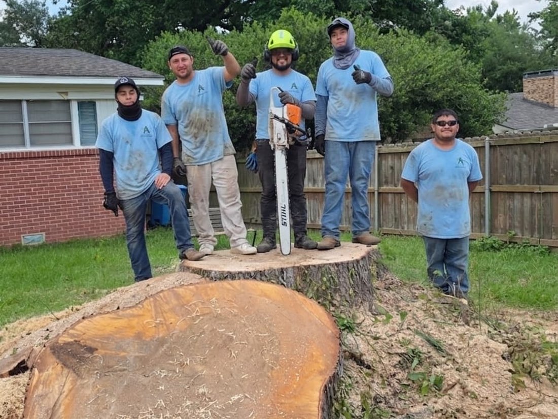 Five crew members in light blue work shirts standing around a large freshly cut tree stump, one holding a chainsaw