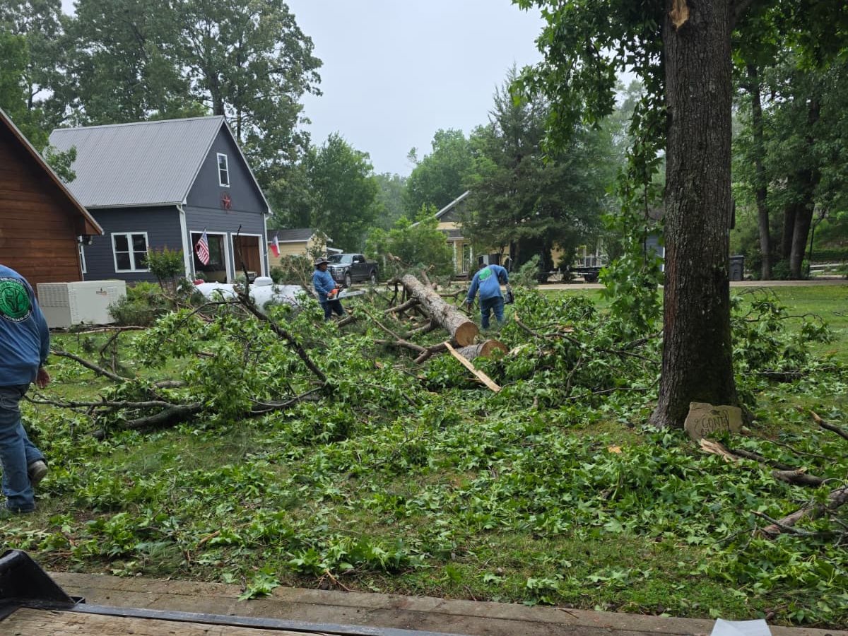 Crew members clearing cut limbs around a tree trunk in a yard
